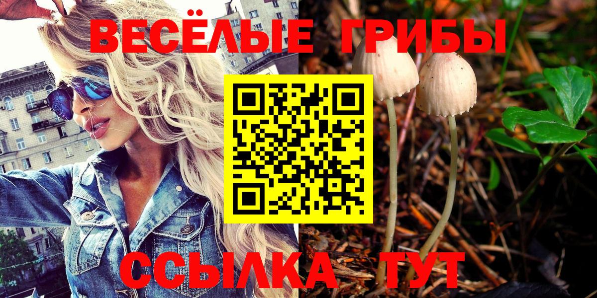 Псилоцибиновые грибы Psilocybe Красноармейск